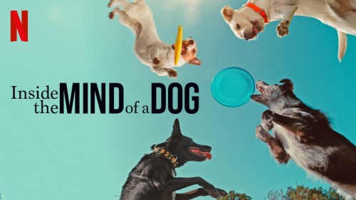 Inside-the-Mind-of-a-Dog-2024-Hindi-ORG-Dual-Audio-1080p-720p-480p-HDRip-ESub.jpg