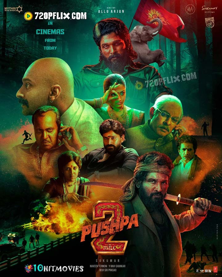 Pushpa 2 The Rule (2024) Dual Audio [Hindi-Telugu] HDTC H264 AAC 1080p 720p 480p Download