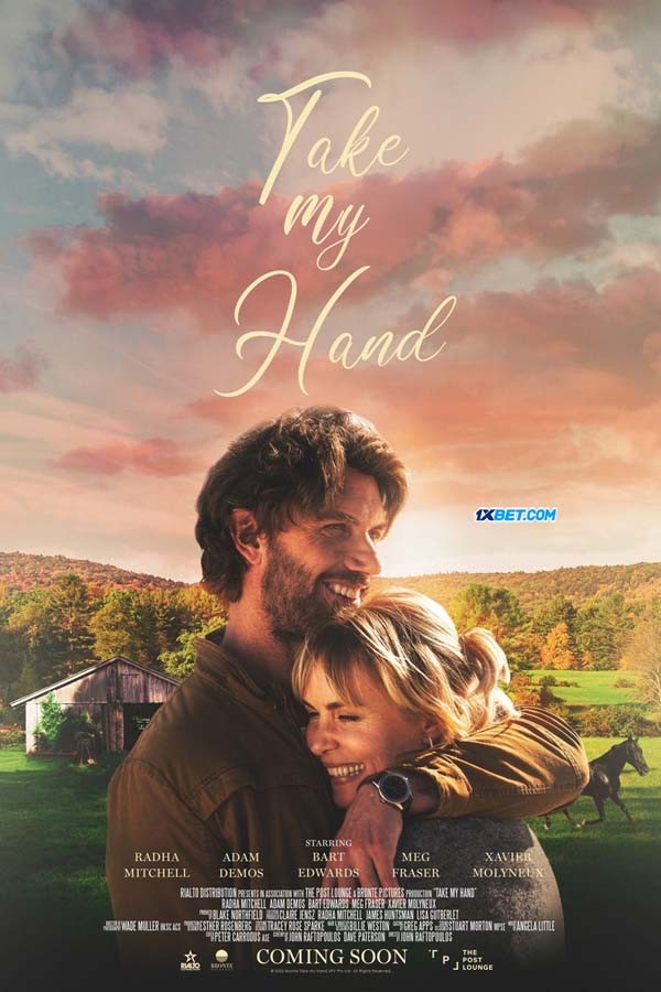 Take My Hand (2024) Hindi 720p WEBRip x264 AAC