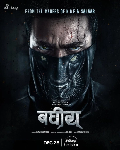 Bagheera (2024) Hindi HS WEB-DL H264 AAC 2160p 1080p 720p 480p ESub