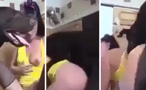 Dog-And-Girl-Viral-Porn-Video.png