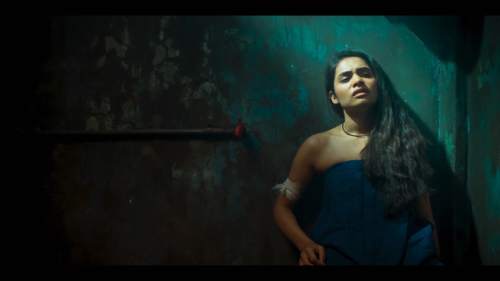 chidiya-udd-2025-s01-hindi-amzn-7starmv-3.png